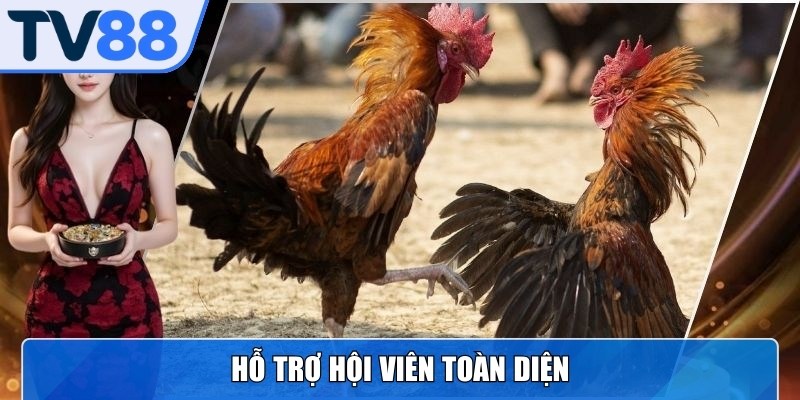 Nền tảng hỗ trợ hội viên toàn diện sẵn sàng giải đáp thắc mắc